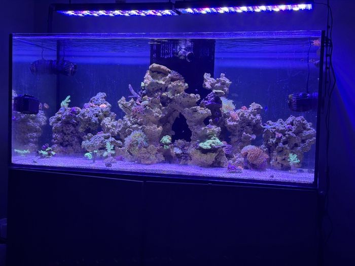 AquaOne ReefSys 325 Marine tank for sale