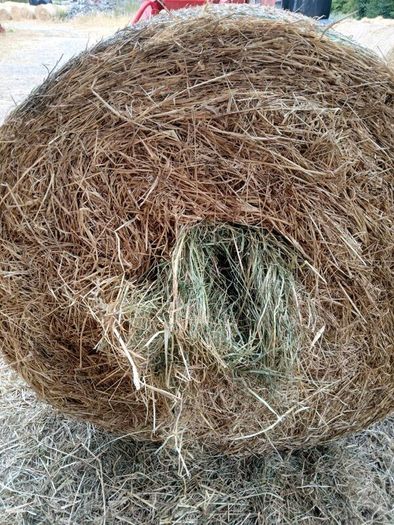 Hay Bales