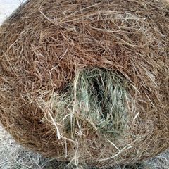 Hay Bales