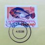 Iceland Banknote + Viking themed Coins + Stamp collector set vintage currency Image 2