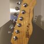 Fret king country squire final reduction Image 3