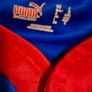 Ireland Official Puma Bud-Light Rugby Union Jersey (Adult Large) FREE POST Image 4