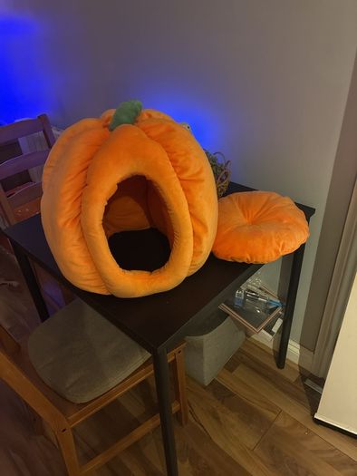 Pumpkin Pet Bed