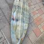 kayak, Motor and a lot more Image 9