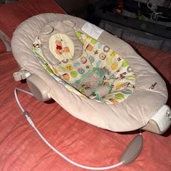 Winnie The Pooh Bouncer
