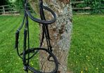 Shockemohle Bridle Head BLK Full