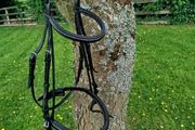 Shockemohle Bridle Head BLK Full