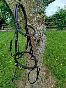 Shockemohle Bridle Head BLK Full