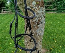 Shockemohle Bridle Head BLK Full