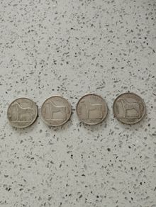Irish Half Crowns