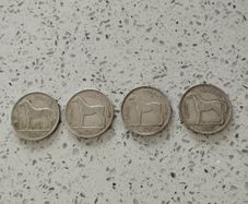 Irish Half Crowns