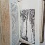 It's Ireland by D. L. Kelleher !. Illustrated by J. W. Buchanan (PT141) Image 6
