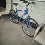giant bike Image 6