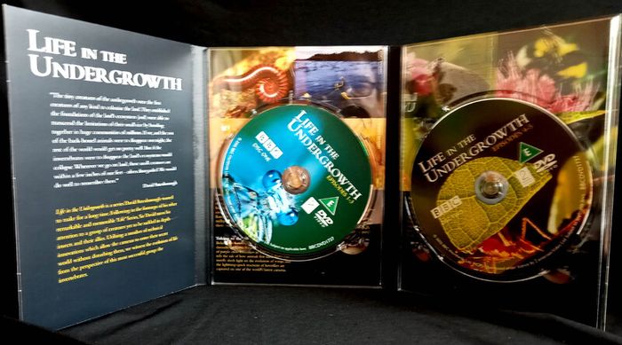 David Attenborough: Life in the Undergrowth - The Complete Series DVD (2005)
