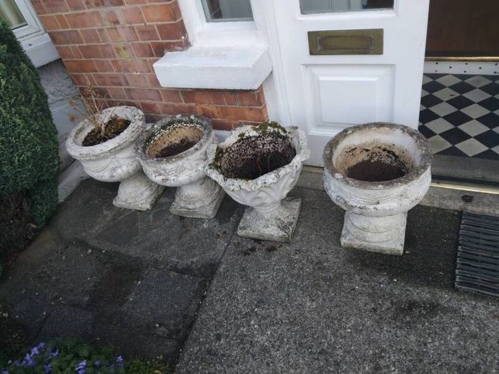 planters