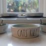 Cat Feeding Station Image 5