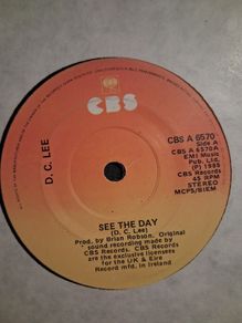 D.C. Lee - See The Day - Irish Pressing - 7"