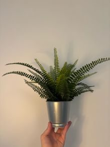 artificial plant vase (x2)