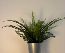 artificial plant vase (x2)