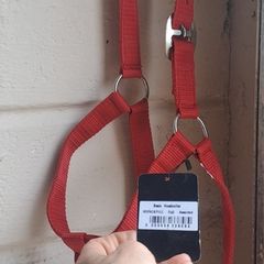 equestrian