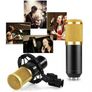 Condenser Microphone Live Studio Sound Recording Mount Boom Stands Kit - 08711 Image 10