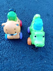 Push animals