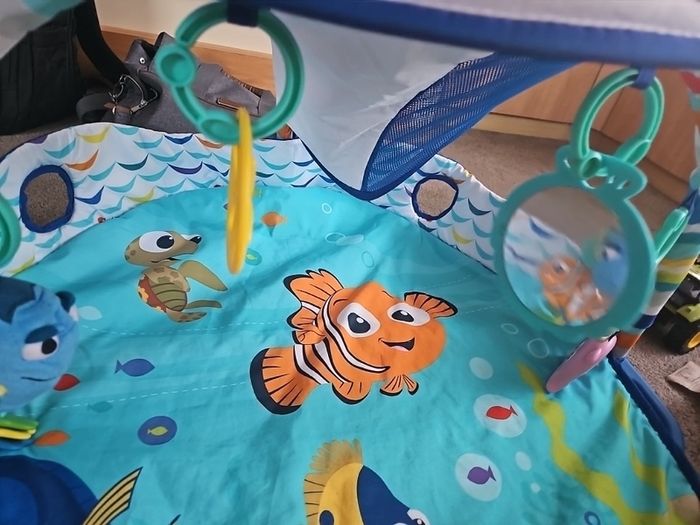 Finding Nemo activity gym