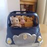 Sylvania families seven seater car Image 6
