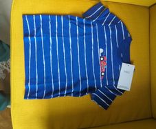 Bnwt boys t shirt 2-3yrs new with tags
