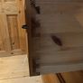 Pine Bed + mattress with FREE lockers and dresser for sale Image 6