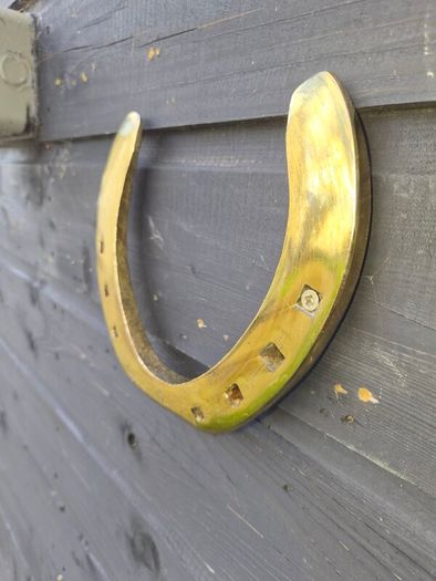 Large  old Belgium  brass  horse  sh