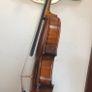 Lady violin Image 6