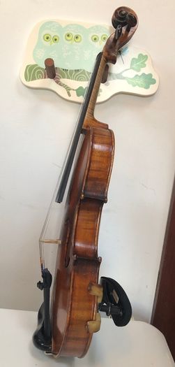 Lady violin