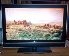 32 inch Sony Bravia [Has HDMI ports but not a Smart TV]