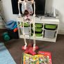 Your body collection with skeleton Image 2
