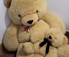 Giant teddy