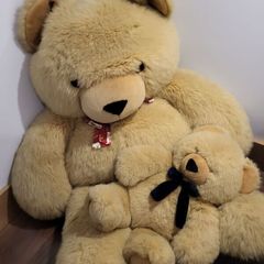 Giant teddy
