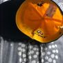 Renault formula 1 race cap (New) Image 6