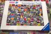 Ravensburger Jigsaw Puzzle 1000 pieces