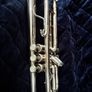 trumpet Getzen eterna Image 4