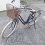 Elops bike