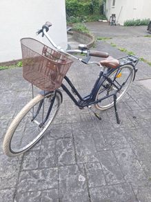 Elops bike