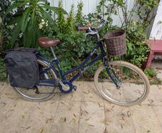 Pendleton Blossomby 26" Girls' Town Bike, Navy