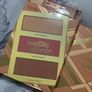 Tarte Hampton's weekenders contour palette BNIB Image 2