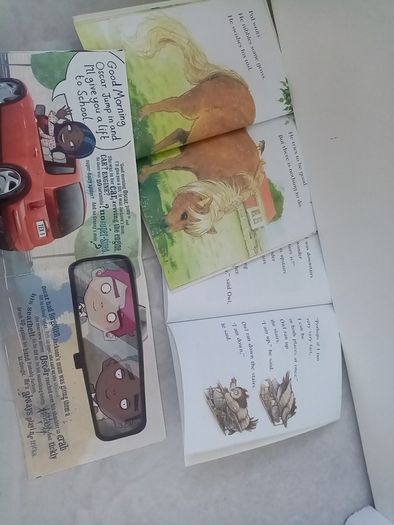 Young reader books