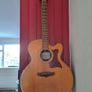 Tanglewood Premier Acoustic-Electric (Cutaway) Image 2