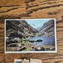 Ireland Big Used Stamp Lot and Old Killarney Postcard Image 2