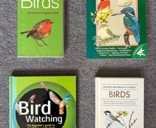 Bundle of 4 bird watching books