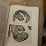 The Journal Of The Royal Society Of Antiquaries Of Ireland.  Volume 100. Part 2 1970. First Edition Paperback In Good Condition. See Photos For Same Image 7