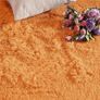 Rugs Living Room - Large Area Rugs for Bedroom Anti Slip - Super Soft Fluffy Large Shaggy Rug Thick Pile Non Shedding, 80cm x 150 cm, Ochre MULTIPLE SIZES/COLOURS AVAILABLE (FREE SHIPPING) Image 6